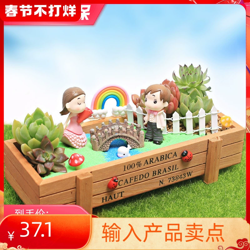 Танабата День Святого Валентина креативные подарки для мужчин и женщин больше мяса деревянная коробка DIY материал блюдо комбинация микропейзаж хорошая забота