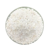 膨胀珍珠岩颗粒建筑保温涂料粉隔热材料园艺用整珍珠岩