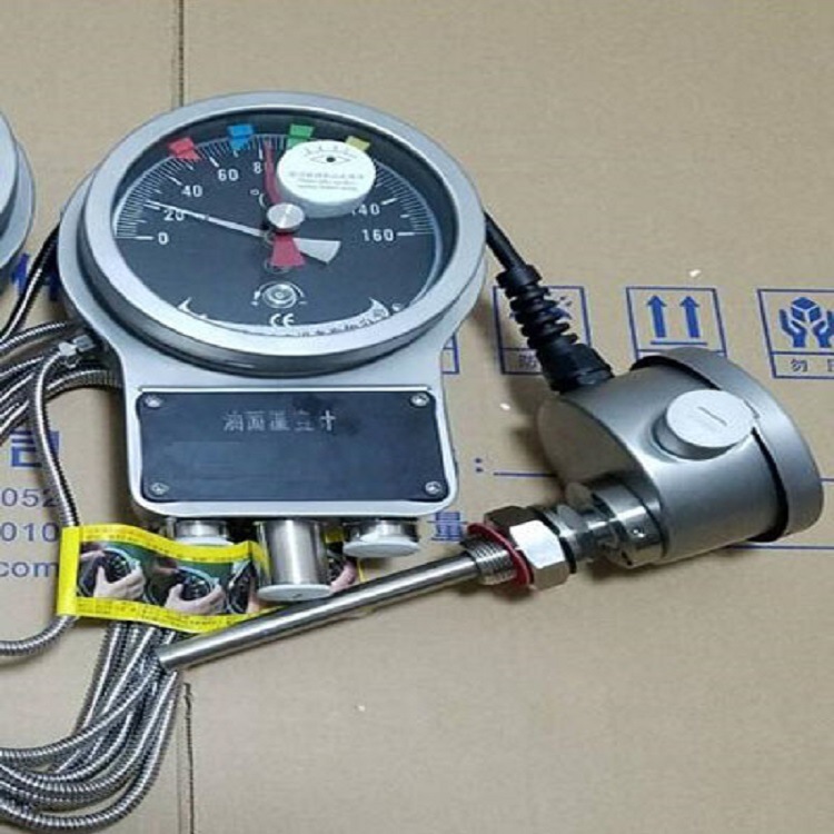 变压器油面温控器 型号:DS04-BWY2-804AJ(TH) 库号：M175986