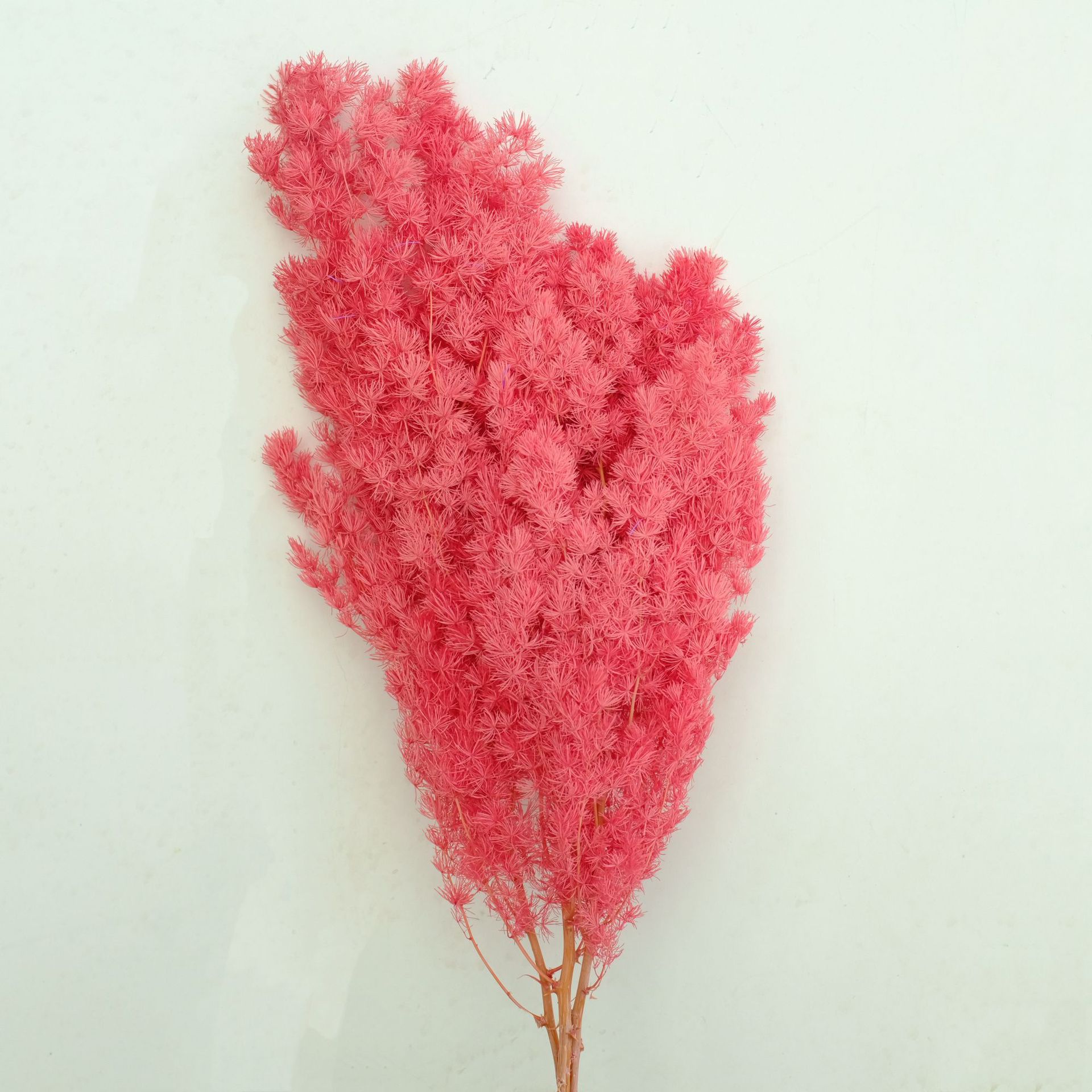 Rouge powder