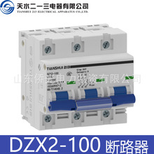 ��ˮ��һ��TIANSHUI213С�͔�·��DZX2-100 2P80A3PC100A�՚��_�P