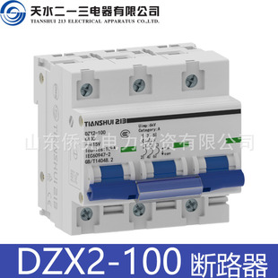 ��ˮ��һ��TIANSHUI213С�͔�·��DZX2-100 2P80A3PC100A�՚��_�P