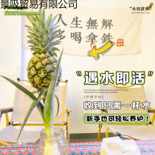 С���}ˮ��ֲ���㽶�r�л���ʳ���҃ȿ͏d�k���Ұٴ�ˮ�B�^���Gֲ