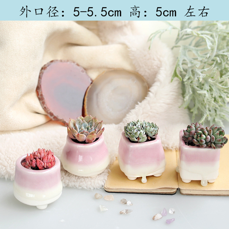 キャンディー色の多肉植木鉢虹創意流釉薬親指盆控養小盆室内個性ミニメーカー卸売り|undefined