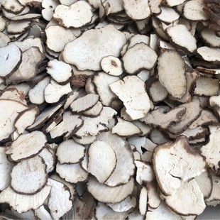 ���l���~һ֦�� �ؘǂ��� Ƭ�� ��̨�� ���� �ݺ�܇ �׺�܇������