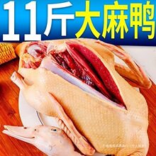 �r��ɢ�B���������������������������r��ˮ�B���������rֱ�l����