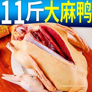 �r��ɢ�B���������������������������r��ˮ�B���������rֱ�l����