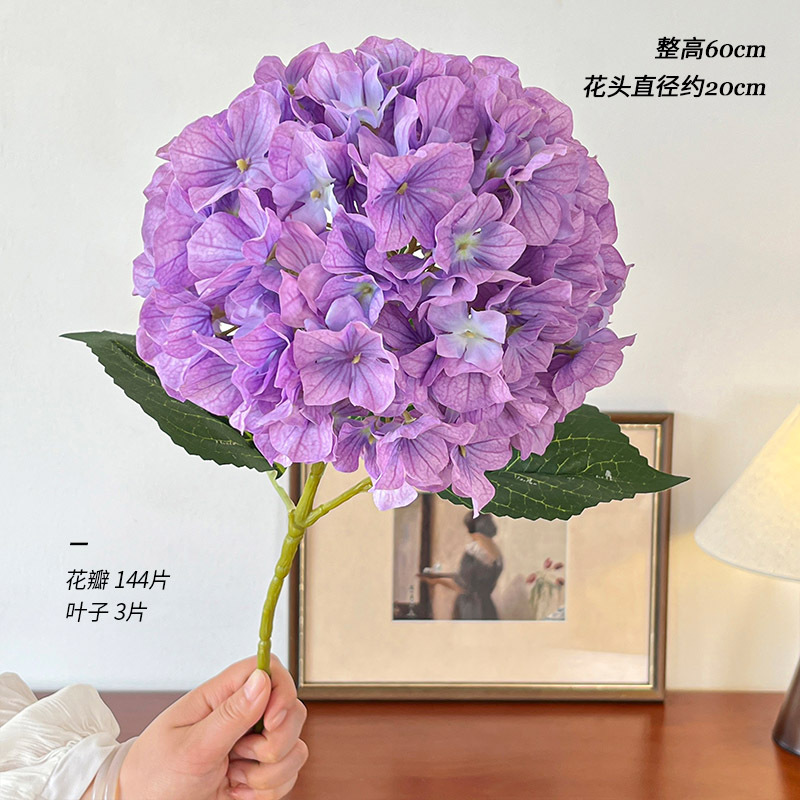 보라색 리사 수국 단일 지점