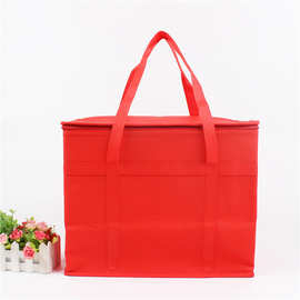 厂家批发双肩冰包保冷冰袋保鲜野餐防水PEVA保温户外野营