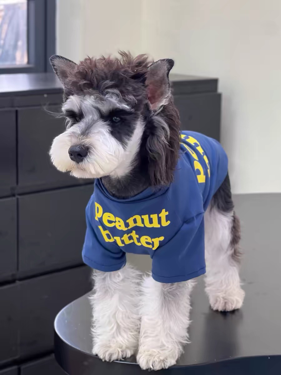 23400d0f-66f4-4555-a523-e6f885169d97.jpe