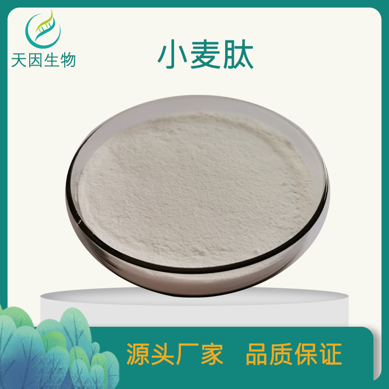 小麦肽 98% 小麦低聚肽 小麦蛋白肽 小分子肽 小麦肽粉 厂家现货