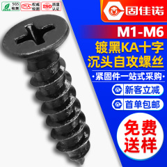 KA 炭素鋼黒十字皿頭タッピンねじ平頭タッピンねじタッピンねじ M1M2M3M4M5M6
