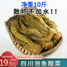 川龍不加水泡青菜10斤酸菜魚專用的酸菜正宗老壇商用泡菜酸菜袋裝