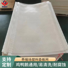养殖场塑料垫板网养殖网易清洗 鸡鸭鹅坠落漏水产防坠垫网