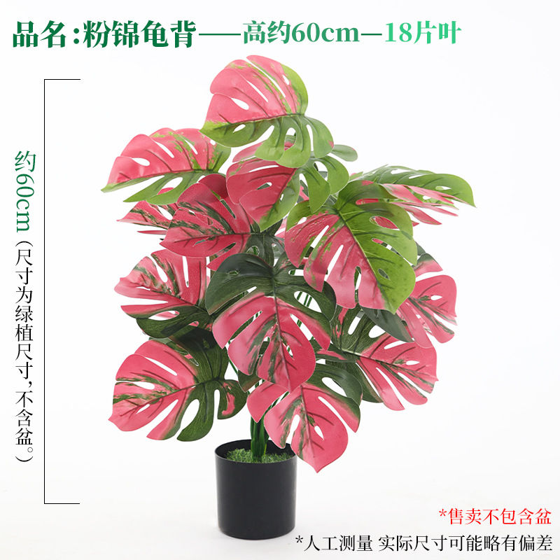 18枚の葉のピンクのカメの葉
