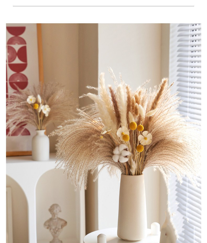 70c12a00-097a-4132-9150-616834dfac9e.jpe