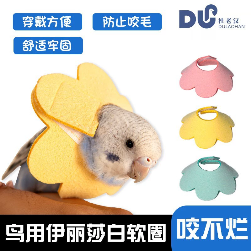 Птица использует круг Элизабет, чтобы защитить ошейник.