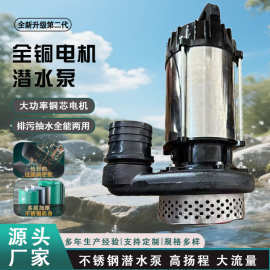 批发厂家高效节能大流量农田灌溉不锈钢潜水泵太阳能水泵抽水泵