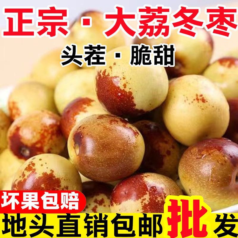 陕西大荔冬枣新鲜5斤包邮 水果当季应季一整箱脆甜大枣子青枣鲜枣|undefined