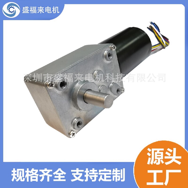 A5840-3650 Dc Brushless Reduction Worm Gear with Self-Locking for Household Appliances, Door Locks, Various Performance Options