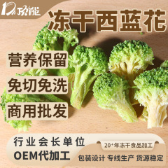 供应脱水西蓝花干 FD冻干西兰花 方便速食餐麻辣拌自热火锅蔬菜包