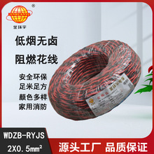 ��h����| b���ȼ��|WDZB-RYJS 2X0.5ƽ�� �͟��o�u��|