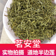 批发中药材散装500g半边莲 量大价优现货供应细米草急解索半边