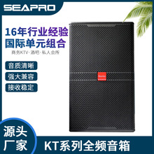 源头厂家供应专业会议音响系统BW系列   BW12全频音箱