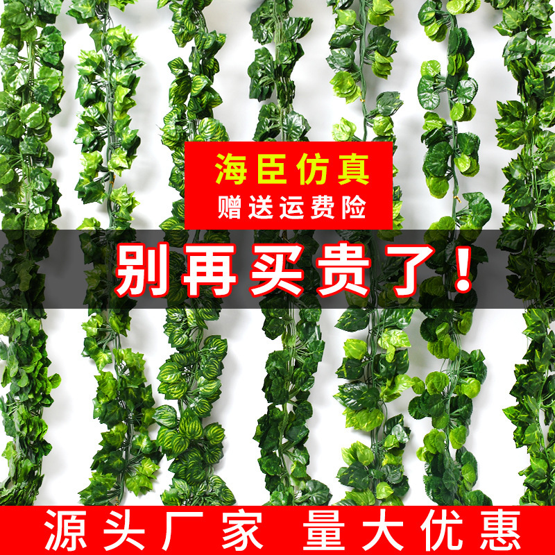 Simulation Rattan Green Plant Rattan Simulation 81 Leaf Green Rattan Store Decoration Artificial Grape Leaf Vine Simulation Rattan Green Plant Rattan Simulation 81 Leaf Green Rattan Store Decoration Artificial Grape Leaf Vine