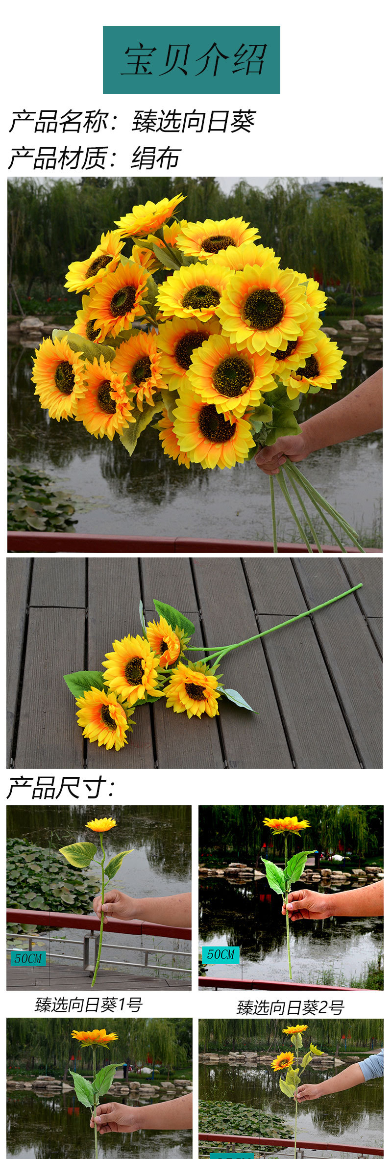 臻选向日葵_01.jpg