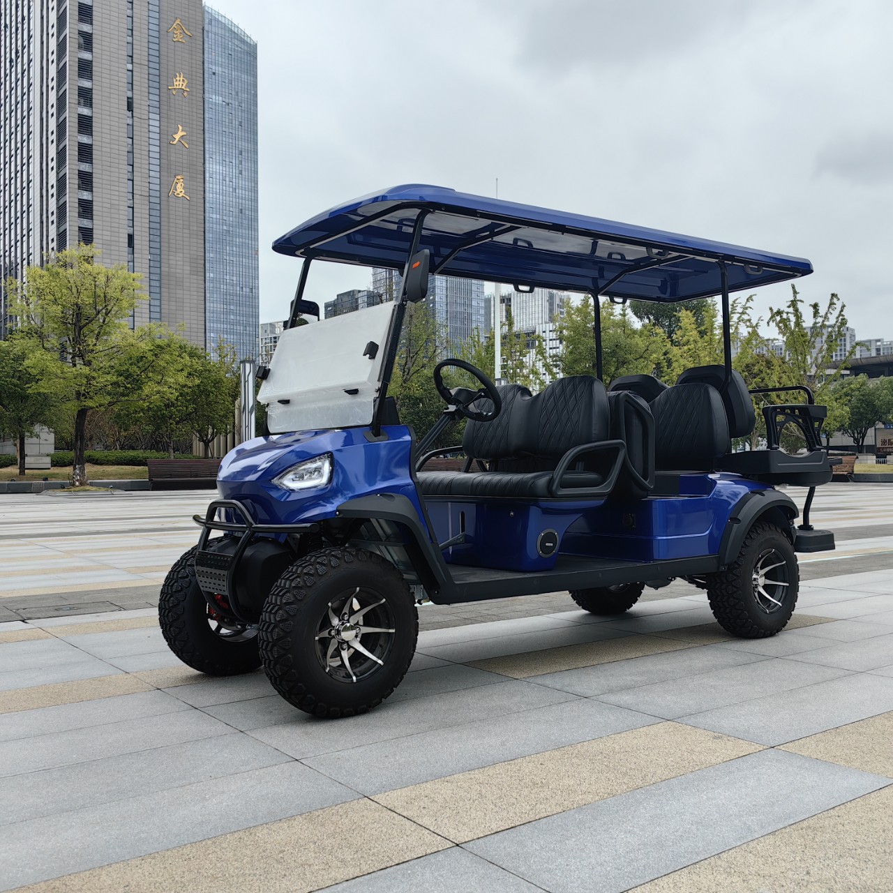 4-6 Seat Electric Golf Cart/Hotel Reception Car/Sightseeing Car