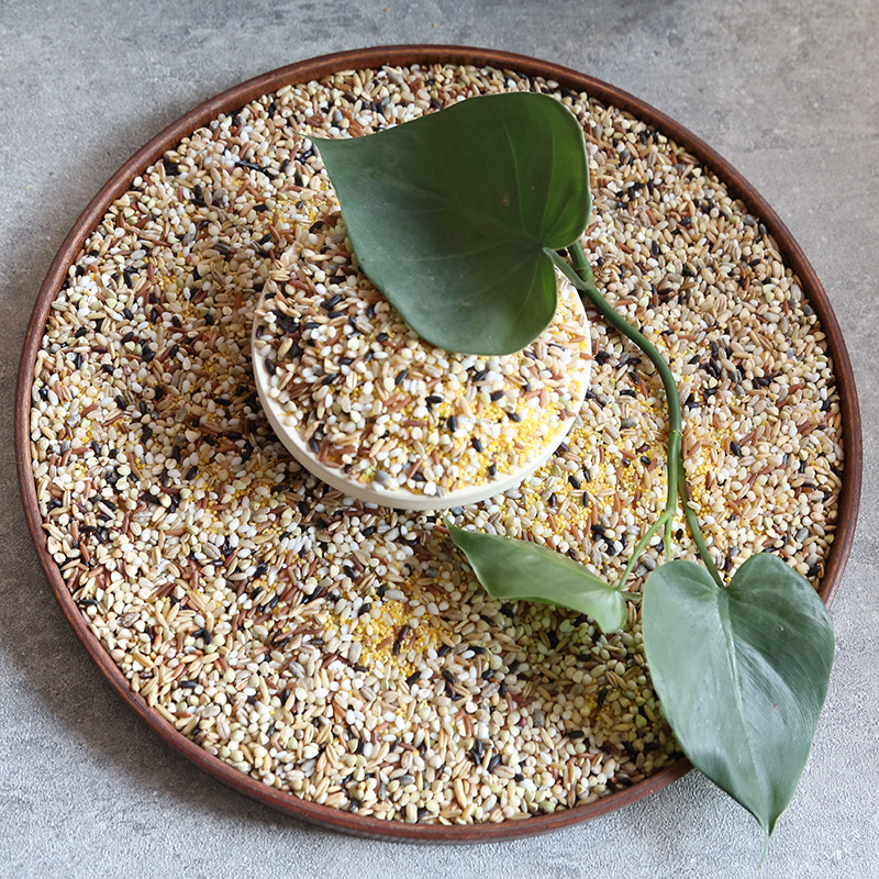 ʮ����������������ܷ����װ�����ز���ʳ����Ӫ�������׻��