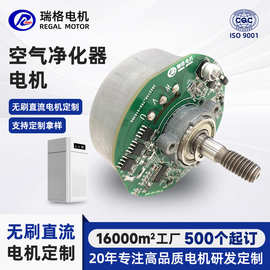 高效率直流风扇灯电机 空气循环扇电机落地扇马达4810风扇电机头