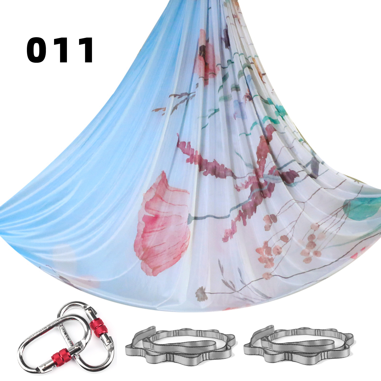 PR 011