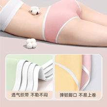 使い捨て下着、滅菌、洗濯不要、携帯用、毎日使い捨てパンツ、マタニティ、ホテル、B&B、美容旅行卸売|undefined