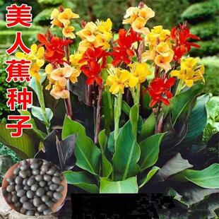 ˽NӼtGС˽·@GСŽS˽N