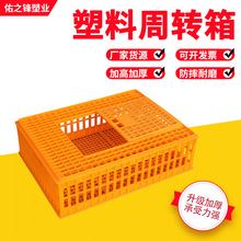 ���l�u�\ݔ�\�u�����D���\ݔ�u�\ �u���������D���\ݔ�\�u��