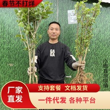 һ�����l����ɣ�ؘ���޽�ɣ�����Lɣ���Ե��Թ�ɣ���ϱ����ļ��N