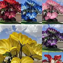 羳؛NͥԺ^~ֲNļͺN