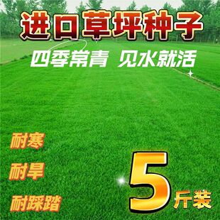 ��ƺ���Ѳ�ƺ�N���ļ����ఫ���ͺ��������R�����������o�²ݾG��