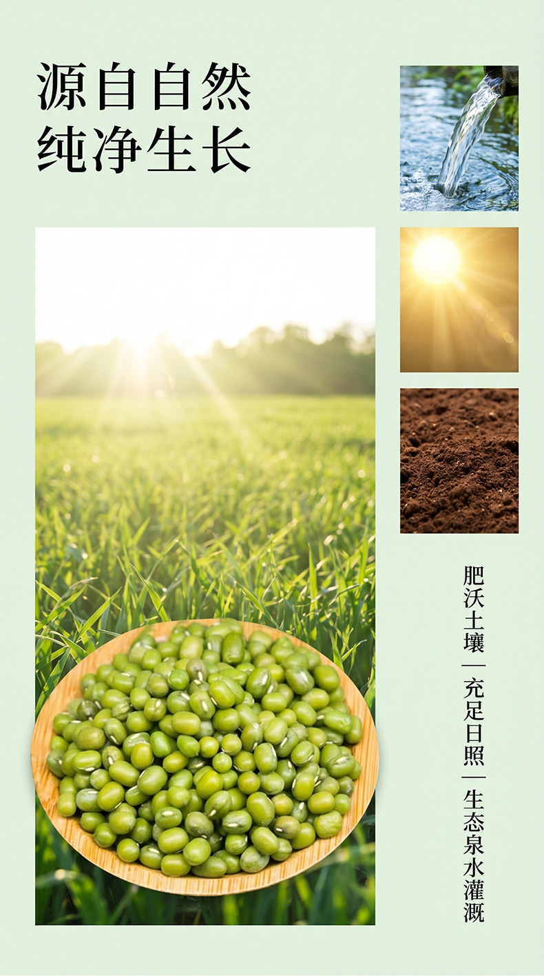 Mung Bean Lu Dou 500g Whole Green Grains for Congee Soup and Summer Drinks key features