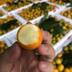 �V���ڰ���Ƥ��ۻ�Ƥ�����Ľ��ӷǴ������r���ټ���ˮ�����l���