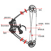 Compound bow, bow and arrows, equipment, archery