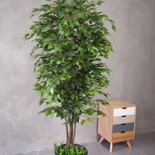 幸福樹工藝仿真植物仿真樹假樹客廳辦公5桿2米榕樹裝飾綠植花藝花