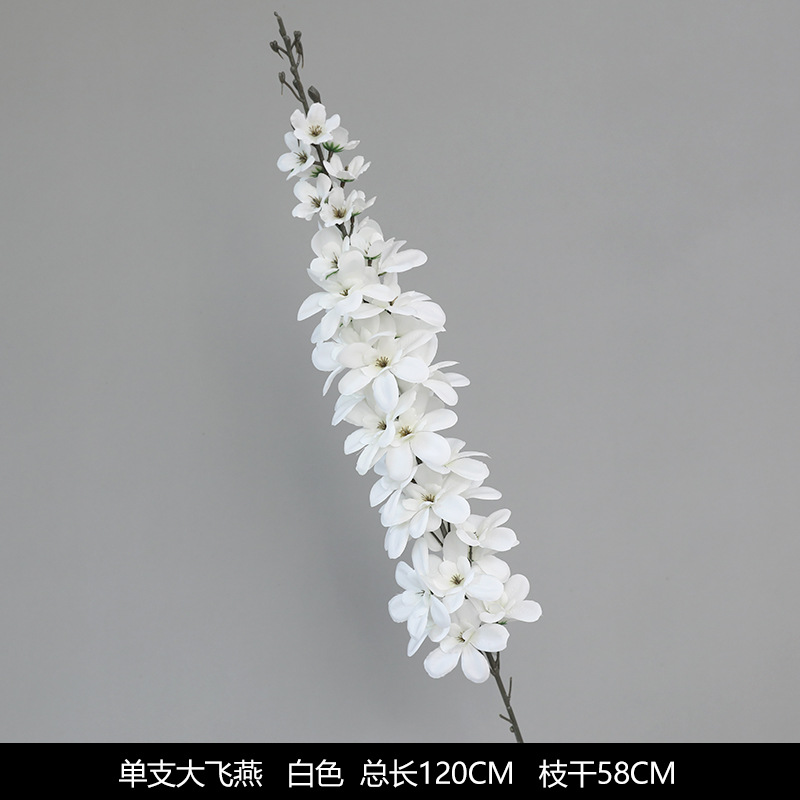 Da Feiyan-White