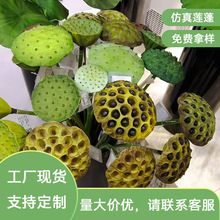 ����ʽ����ɻ�����PUɏ���쾰���~�@���bzӰ�ҾӲ廨���Q���l