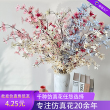 ������������Ҿӿ͏dDIY�b��ֹ��ٻ���c�bzӰ�[���������l