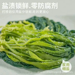 福建特产盐渍海带苗嫩苗新鲜蔬菜火锅凉拌食材海带芽非特级裙带菜