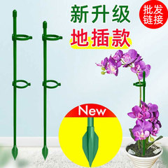 胡蝶蘭専用花架ステント植物鉢植え花卉造形園芸支持棒固定倒伏防止保護葉架