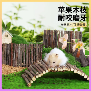 �}���O��ľ����ľ���z�ܿ�ҧ�O��ľ��߇����쾰��Ʒ���S���l